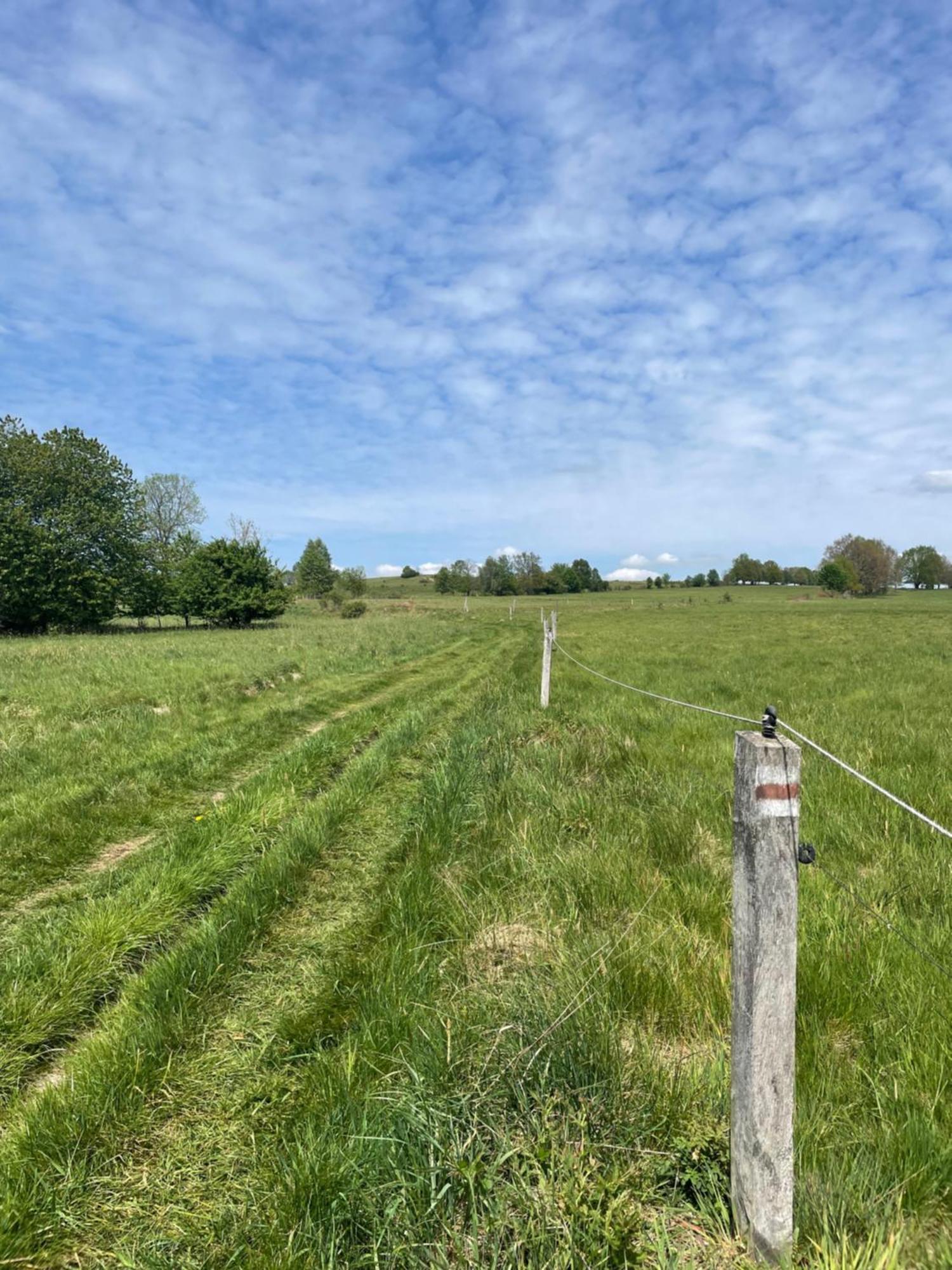 Dziejba Izerska Villa Giebultow  Exteriör bild
