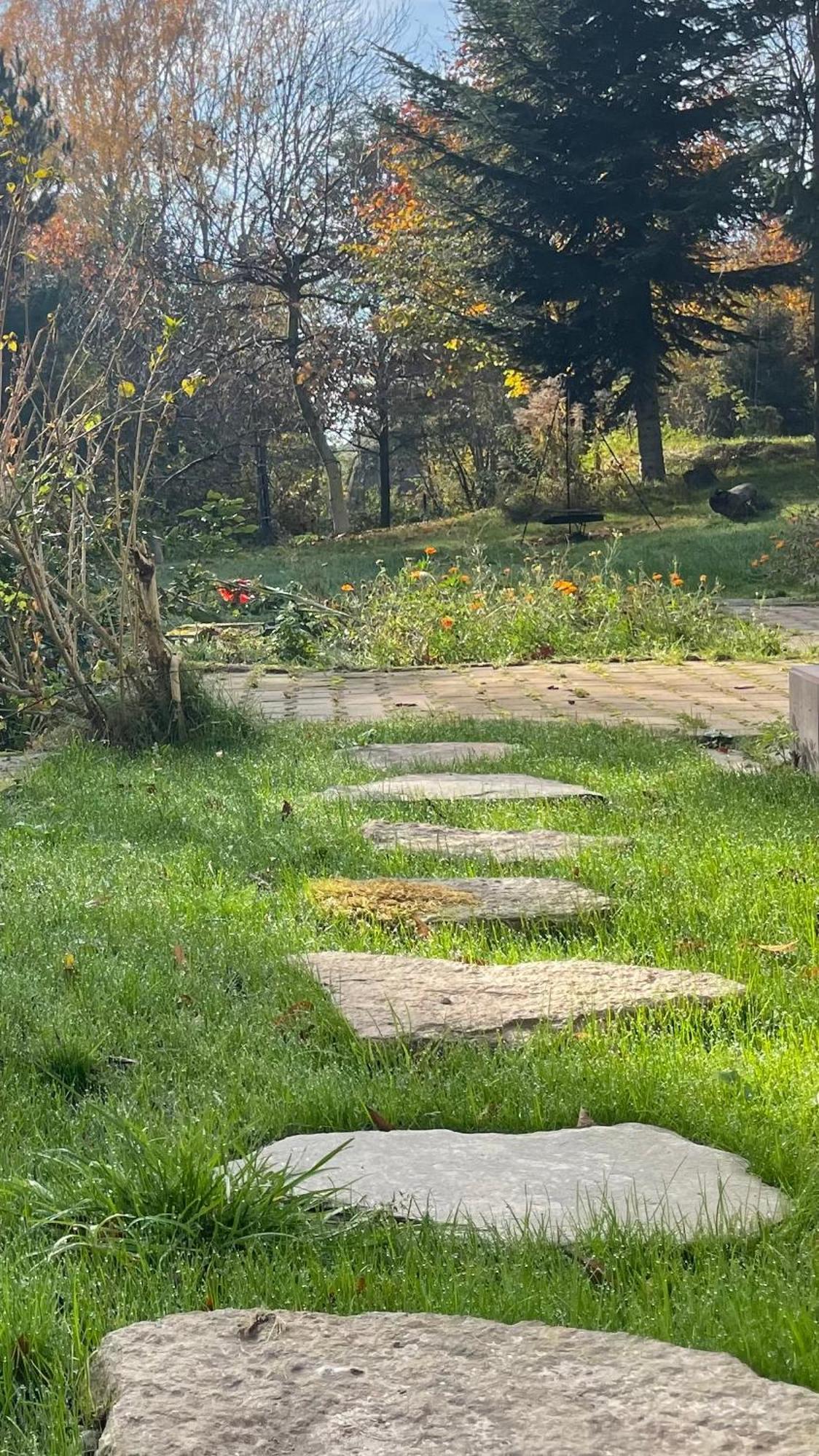 Dziejba Izerska Villa Giebultow  Exteriör bild