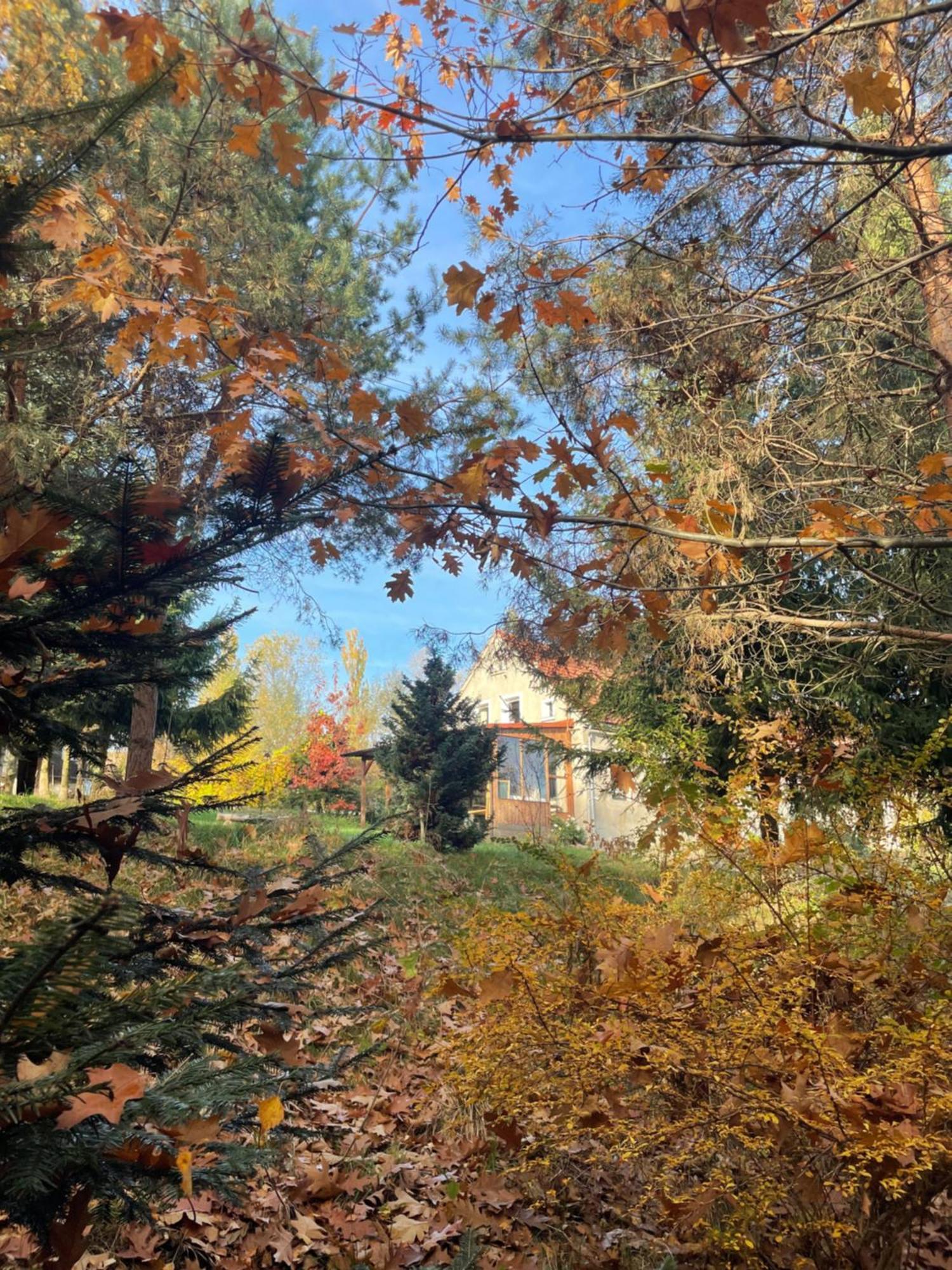 Dziejba Izerska Villa Giebultow  Exteriör bild